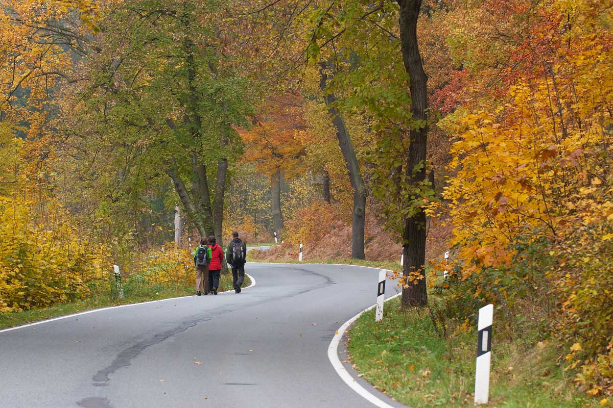 Herbstwanderung Straße