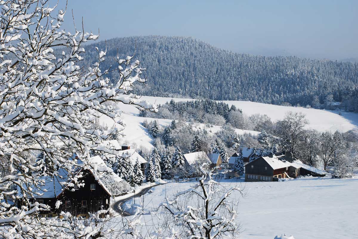 Winter in Hinterhermsdorf